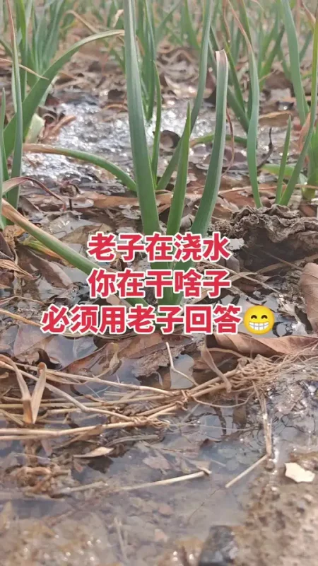 我在做脸，你在干啥，必须用老娘回答😁#记录我的守店日常 #蜜梓嫣皮肤管理 #同城护肤#美容护肤 #XX同城-蜜梓嫣皮肤管理