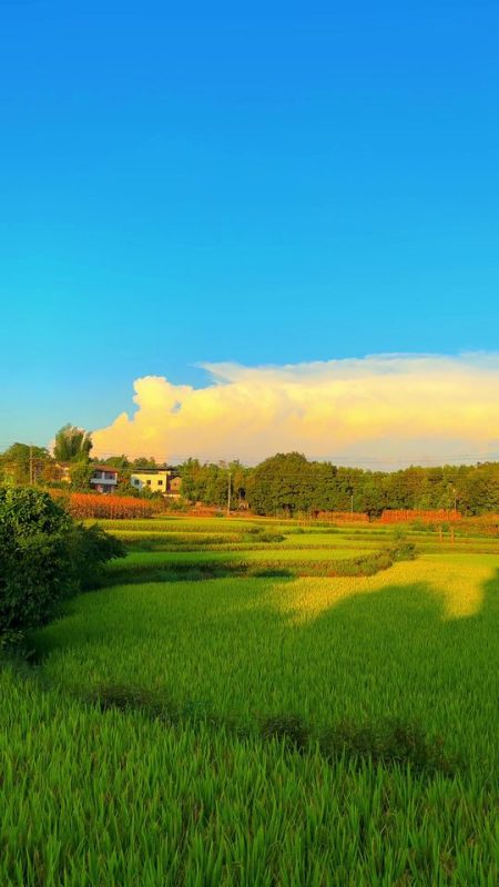“那你呢？ 这个中秋国庆回家吗？我说的是从小长大的那个家……”#中秋国庆-蜜梓嫣皮肤管理