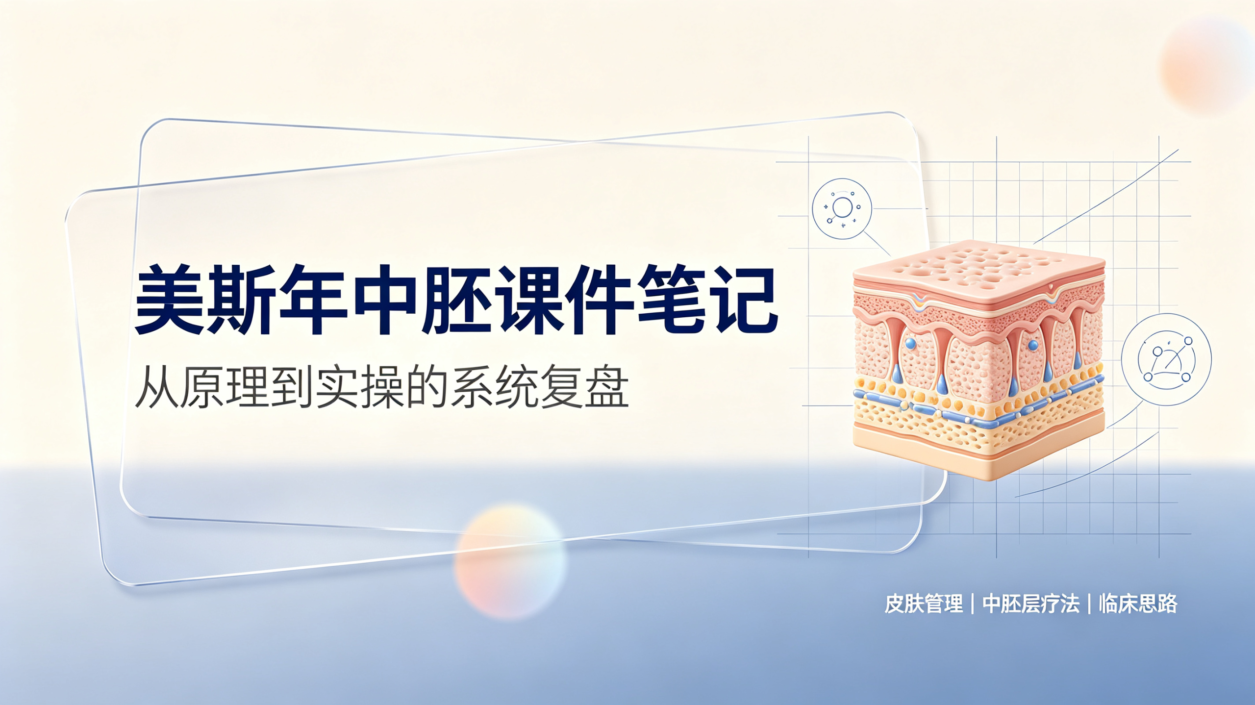 🔬美斯年中胚课件笔记-公主归来体康管理